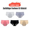 KAUFE 5 UND ERHALTE 5 GRATIS 2024 Neueste High Waist Leak proof Hschen